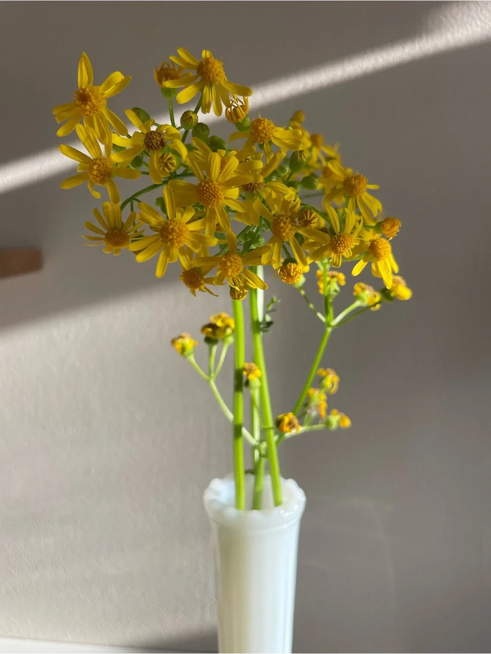 Milk Glass Bud Vase Set - Picture 7 of 12